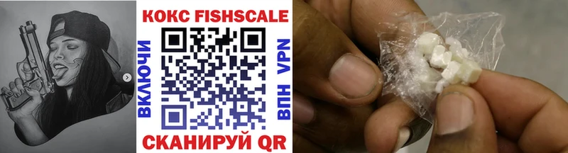 Cocaine Fish Scale  даркнет телеграм  Новотитаровская 