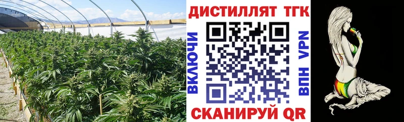 ТГК Wax  закладка  Новотитаровская 