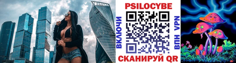 Псилоцибиновые грибы Psilocybine cubensis  продажа наркотиков  Новотитаровская 